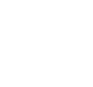 Eagle Stone 